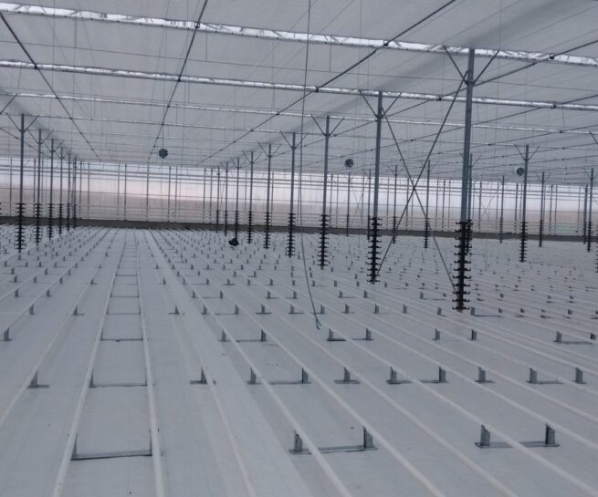Greenhouse Surface Coatings and Covers